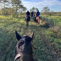 Equestrian Jobseeker Profile Photo