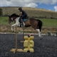 Equestrian Jobseeker Profile Photo