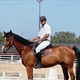Equestrian Jobseeker Profile Photo