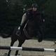 Equestrian Jobseeker Profile Photo
