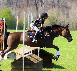 Equestrian Jobseeker Profile Photo