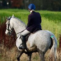 Equestrian Jobseeker Profile Photo