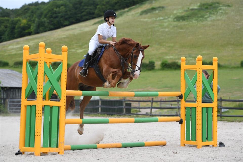 Equestrian Jobseeker Profile Photo