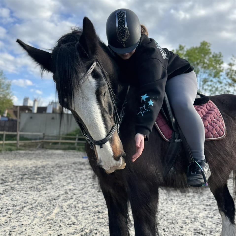 Equestrian Jobseeker Profile Photo