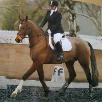 Equestrian Jobseeker Profile Photo