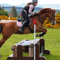 Equestrian Jobseeker Profile Photo