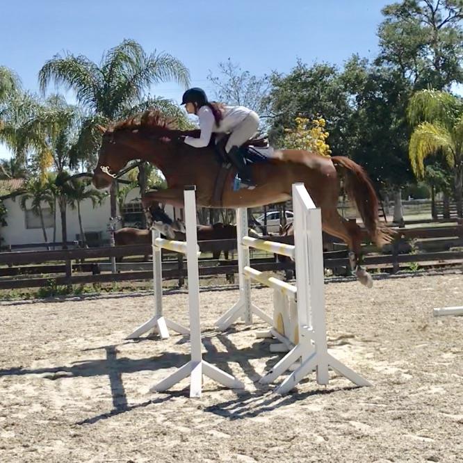 Equestrian Jobseeker Profile Photo