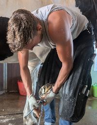 Equestrian Jobseeker Profile Photo
