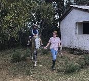 Equestrian Jobseeker Profile Photo