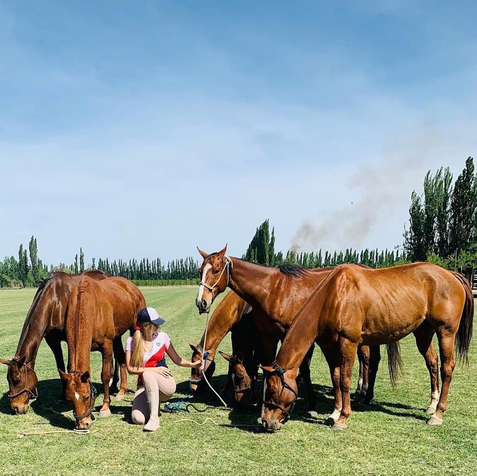 Equestrian Jobseeker Profile Photo