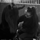 Equestrian Jobseeker Profile Photo
