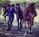 Equestrian Jobseeker Profile Photo