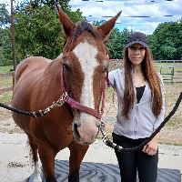 Equestrian Jobseeker Profile Photo