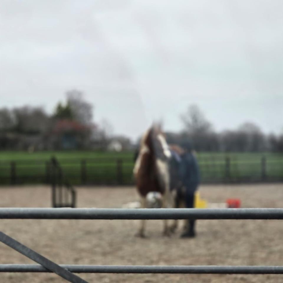 Equestrian Jobseeker Profile Photo