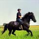 Equestrian Jobseeker Profile Photo